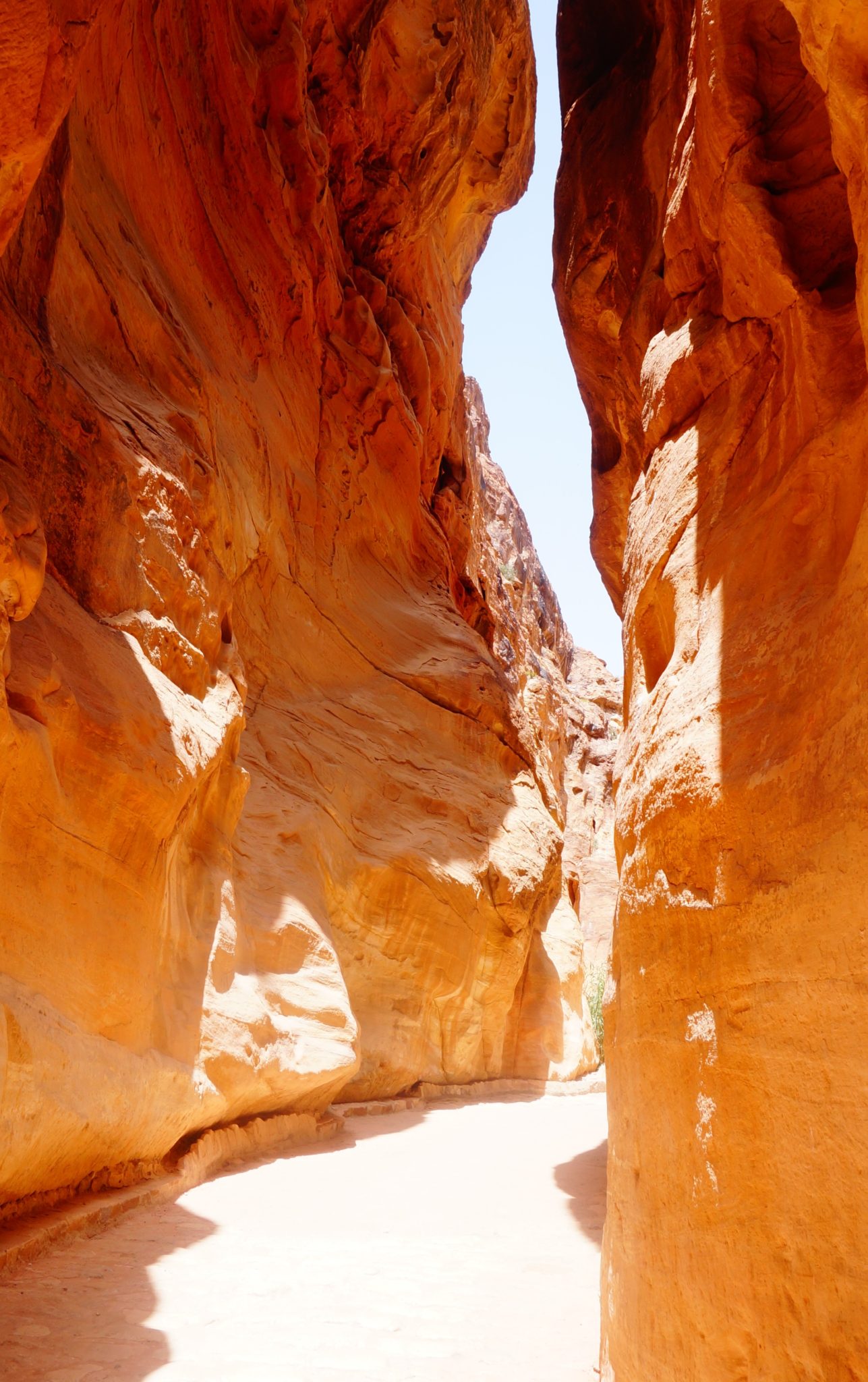 petra-a-rose-red-city-half-as-old-as-time-elixir-of-travel